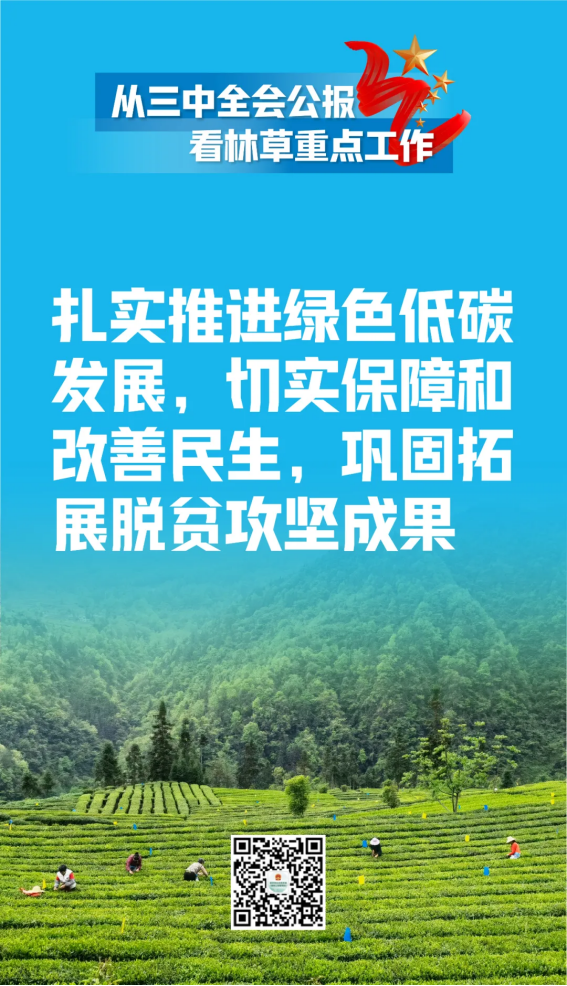江苏国林林业科技有限公司